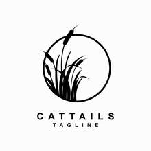 Cattails Plant Vector Template. Reed Grass. Water Plant Graphic Illustration.