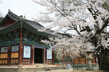 Canvas Print - Spring of the Temple