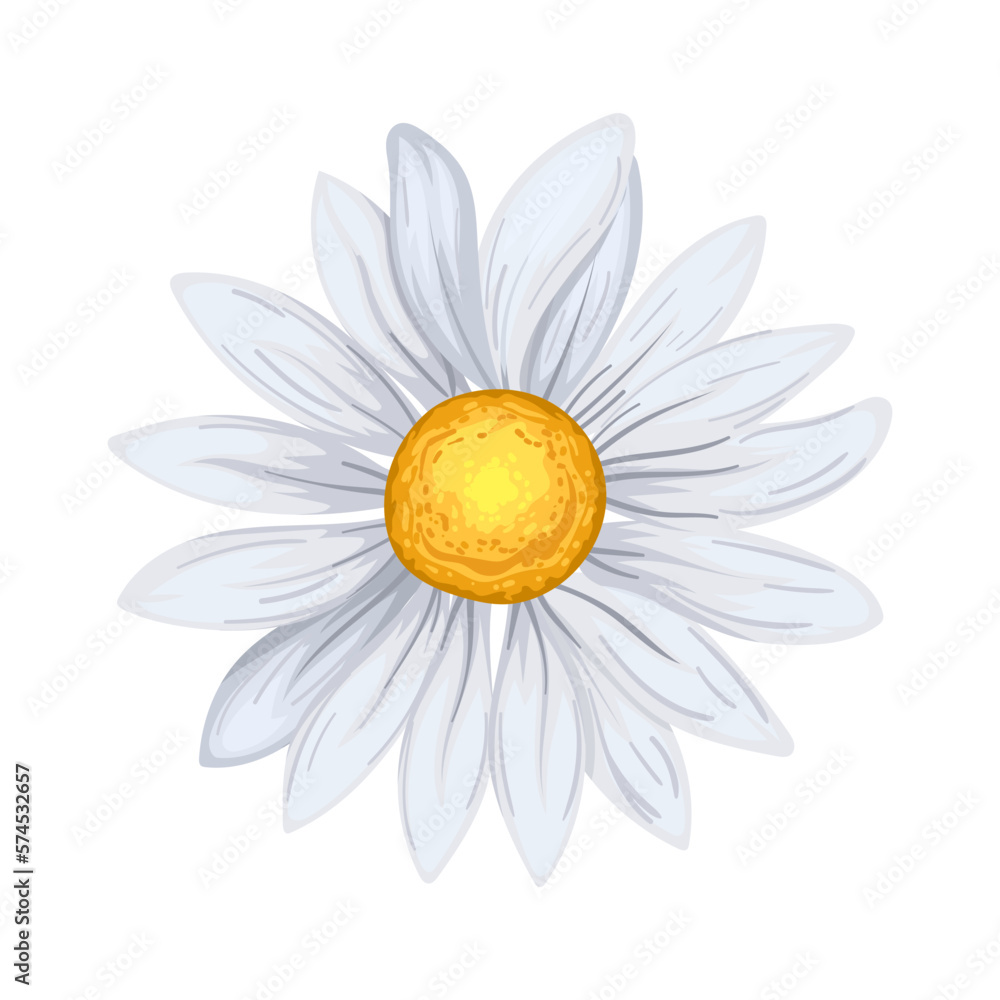 daisy flower summer cartoon vector illustration color sign Stock Vector |  Adobe Stock, image size:1000x1000