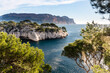 © Cavan Images - Scenic View Of Calanque And The Mediterranean Sea Framed By Pine Trees