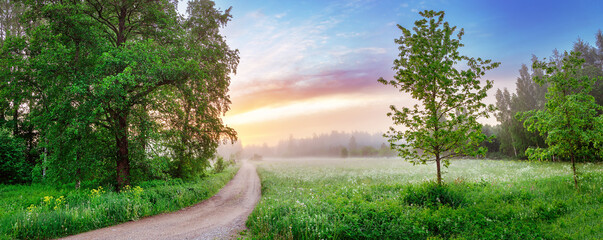 Country gravel road in fog in natural park in summer.