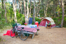Campsite In The Woods.