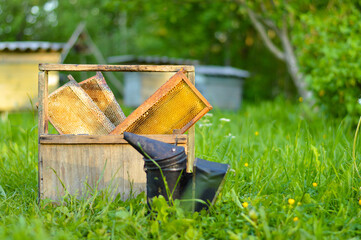 A tool of the beekeeper. Everything for a beekeeper to work with bees. Smoker, a number, a box. Apiary in nature. Honey production. Bees. Natural healthy honey.