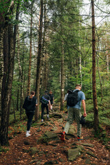 A group of young people of tourists in the casual of clothes stroll through the mountains through the forest. Hike with friends in the mountains.