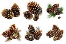 Collection Of Pine Cones Isolated On Transparent, Ai Generated