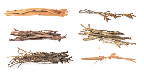Set of different dry tree branches on white background