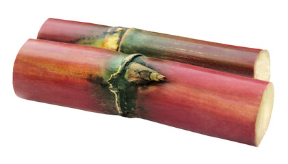 Canvas Print - Piece of sugarcane with molasses