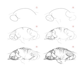Wall Mural - page shows how to learn to draw sketch of cute sleeping cat. pencil drawing lessons. educational pag