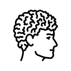 Wall Mural - curly male hairstyle male line icon vector illustration