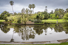 Trees And Reflections In The Water, Royal Botanic Gardens, Sydney, Australia
