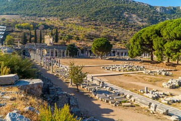 Wall Mural - Ruins and archaeological artifacts in Efes, Selcuk, Turkey