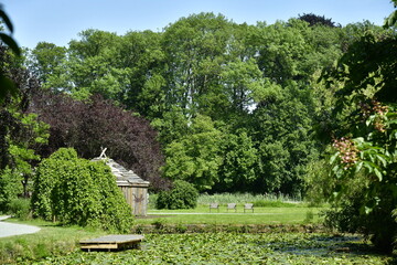 Le petit étang couvert de nénuphar près d'un cabanon de renseignements en plein coeur de la nature bucolique du Vrijbroekpark à Malines