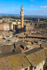 Wall Mural - Top view of Siena in ITALY with the Tower called DEL MANGIA and the Palio square