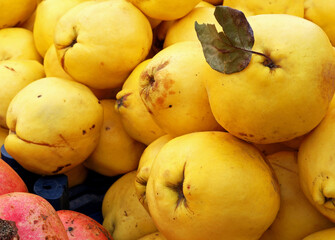 Wall Mural - organic and fresh quinces on the market stall
