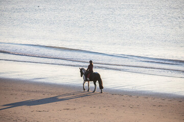 Wall Mural - woman riding horse on sand beach