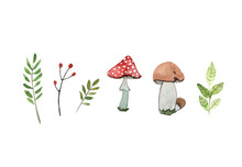 Set Of Mushrooms And Berries With Leaves,porcini Mushrooms, Toadstools, Watercolor Illustration Isolated On A White Background