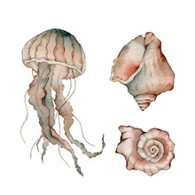 Set Of Sea Animals Poster. Blue, Greeen, Brown Watercolor Ocean Jellyfish, Medusa, Fish Aquarium . Nautical Wildlife Marine Illustration