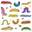 Bright Caterpillars as Larval Stage of Insect Crawling and Creeping Vector Set