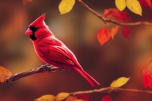 Red Cardinal Bird Perched At Bird Feeder During The Fall Season. Generative AI