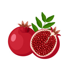 Wall Mural - Vector illustration, Ripe pomegranate fruit, scientific name Punica granatum, isolated on white background.