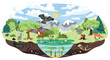 Concept of ecosystem. Biodiversity and different forest habitats, carnivore animals. Wild life and environment, biology, flora and fauna. Ecology and nature. Cartoon flat vector illustration