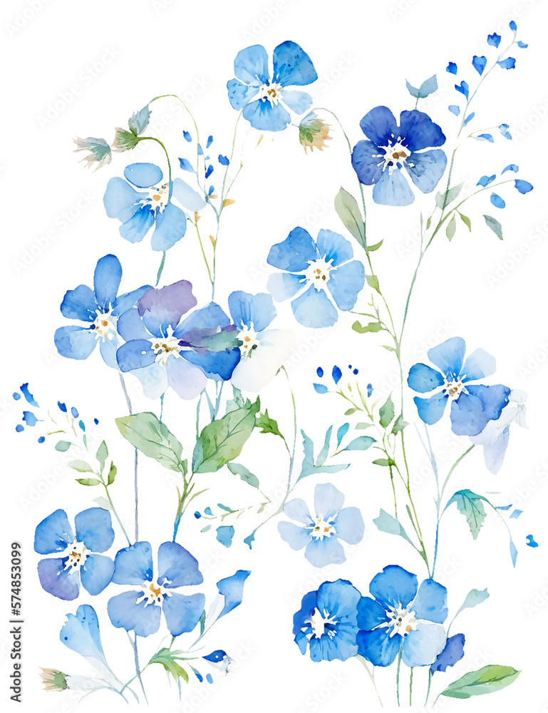 ネモフィラの花の水彩イラスト／AI画像 Stock Illustration | Adobe Stock