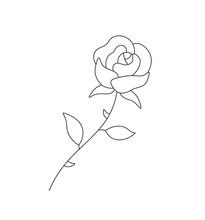 Vector Isolated Ose Single Rose Flower With Prickly Stem And Leaves Colorless Black And White Contour Line Easy Drawing