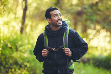 asian man, backpacker or hiking in nature forest, trekking woods or japanese trees in adventure work