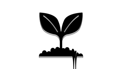 Sticker - Black Plant icon isolated on white background. Seed and seedling. Leaves sign. Leaf nature. 4K Video motion graphic animation