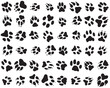 Seamless pattern of print of dogs paws on a white background