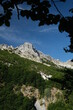 Alpi Apuane. Mountain landscape in Tuscany. Monte Pizzo d'Uccello in the Apuan Alps and  forest. Carrara, Tuscany, Italy