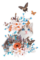 Abstract art collage of kitten with flowers