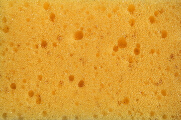 Abstract texture of bright color sponge for washing dishes.	