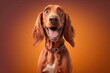 © AdriFerrer - Cute setter dog character. Generative AI