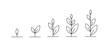 Plant icons collection. Seed line icons. Plant Sprout Icon collection.