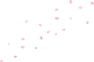桜の花びらが舞っているイラスト　手描き水彩風