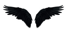 Pair Of Black Realistic Wings On White Background Vector Illustration