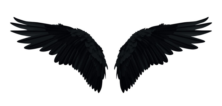 pair of black realistic wings on white background vector illustration