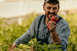Smiling agriculturalist holding fresh raw veggies while working on his farm. Farmer enjoying a fresh picked up pepper.