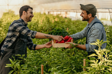 Two male agriculturalists working together, exchanging goods and homegrown products.