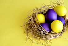 Yellow And Purple Easter Eggs In A Nest Isolated On Yellow Background  