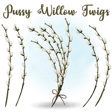 Watercolor Pussy Willow Decoration