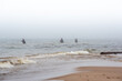 Anglers catching garfish in the Baltic Sea / Wędkarze łowiący rybę Belona w Morzu Bałtyckim