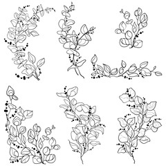 Wall Mural - contour floral branches set