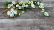 Ein Korb mit Ostereiern umrahmt von Blumen in der Farbe weiß und grün auf altem Holz Hintergrund mit Platz für Text.