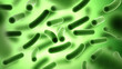 Leinwandbild Motiv Bacteria. Bacterium. Green color. Prokaryotic microorganisms. 3d illustration.