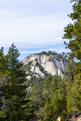 Wall Mural - Views while hiking in the beautiful and scenic mountain town of Idyllwild, California.