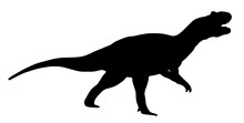 Silhouette Of A Dinosaur