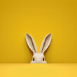 Bunny peeking on yellow background with copy space