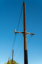 Shot Of The Utility Pole At The Alameda Naval Base